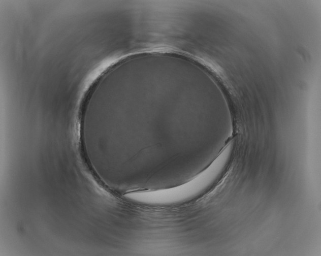 X0000115251414200911131715