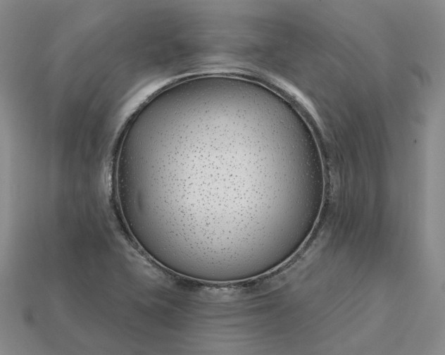 X0000115251415200911131715