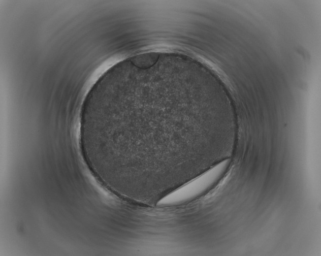 X0000115251418200911131715