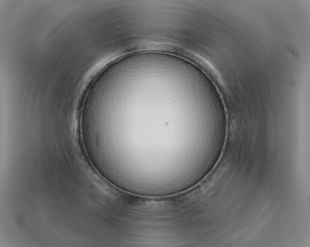 X0000115251419200911131715