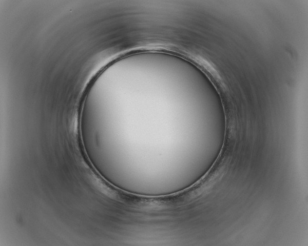 X0000115251420200911131715