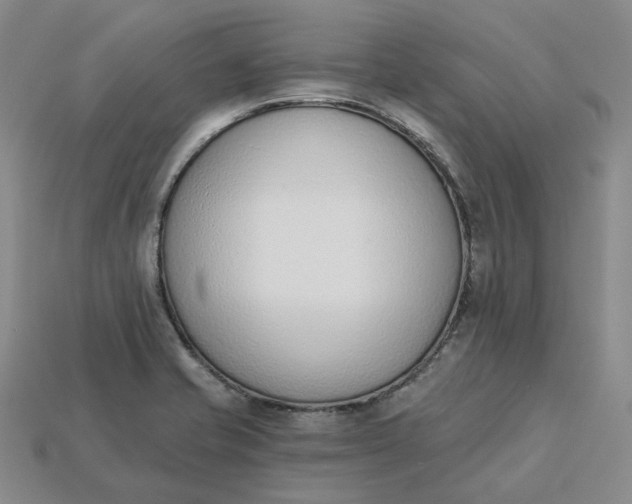 X0000115251421200911131715