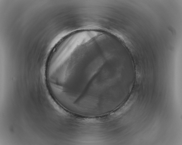 X0000115251422200911131715