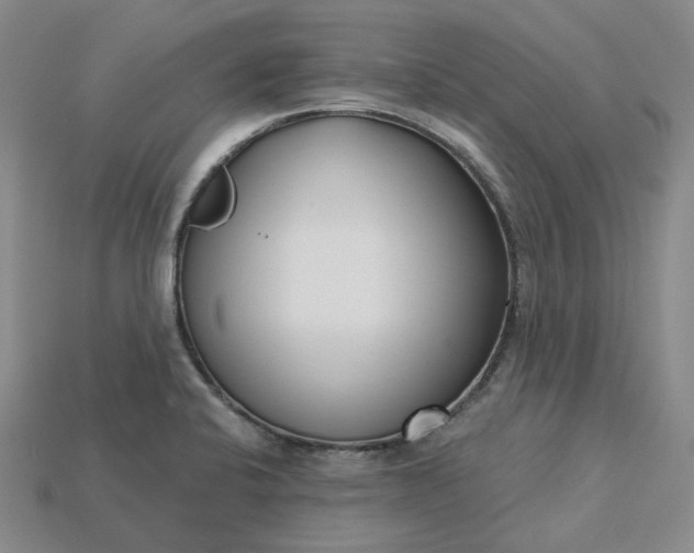 X0000115251424200911131715