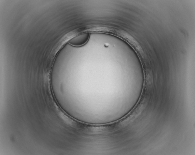 X0000115251425200911131715