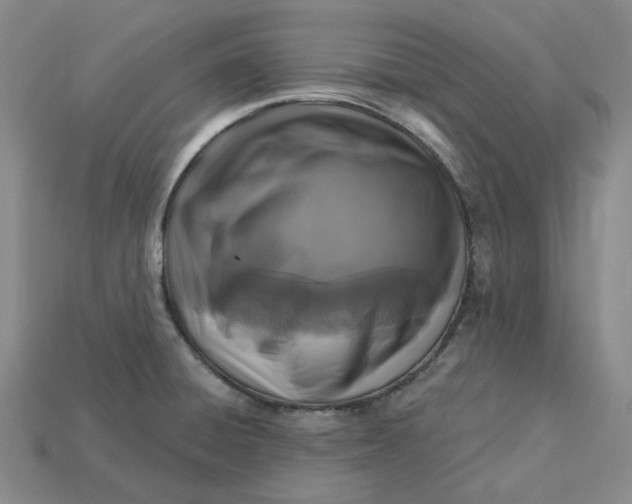 X0000115251428200911131715