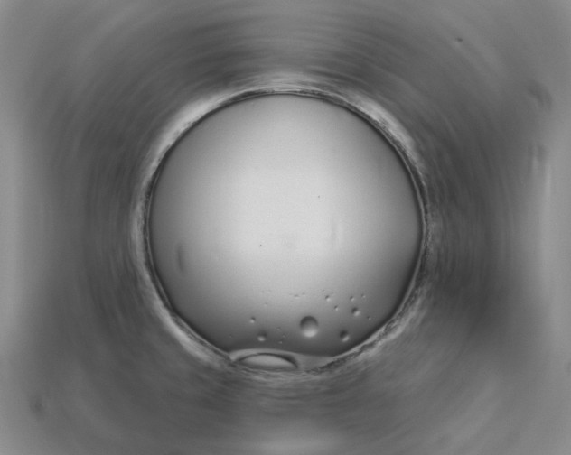 X0000115251429200911131715