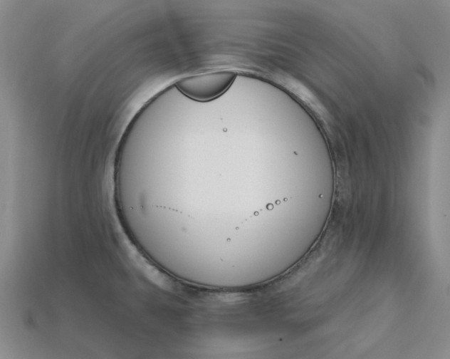 X0000115251431200911131715