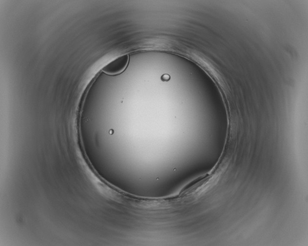 X0000115251434200911131715