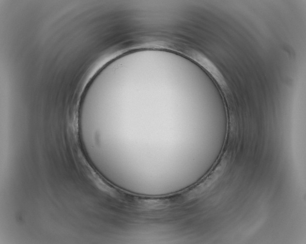 X0000115251436200911131715