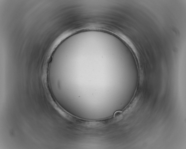 X0000115251437200911131715