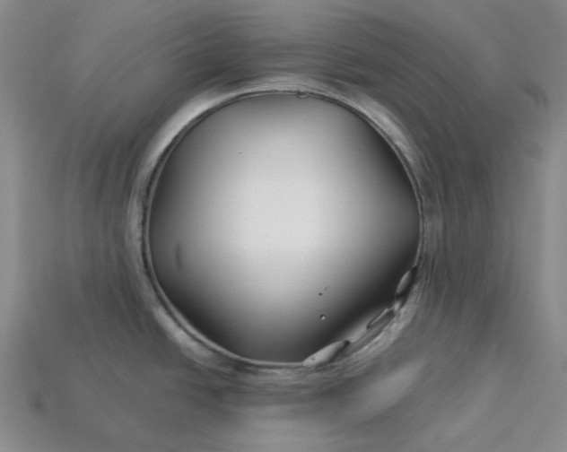X0000115251438200911131715