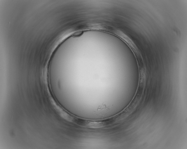 X0000115251439200911131715