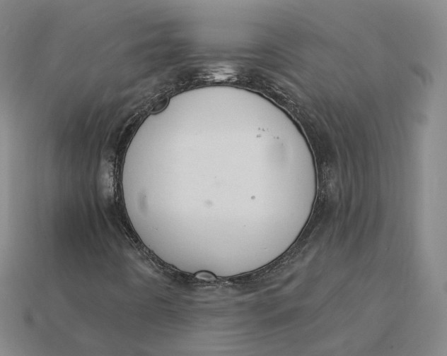 X0000115251442200911131715