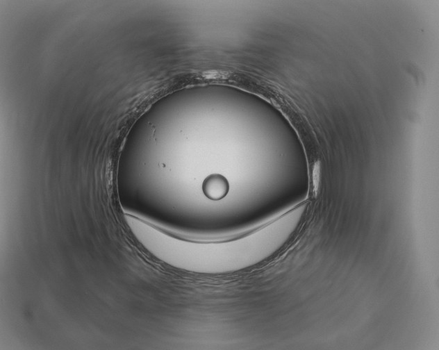 X0000115251443200911131715