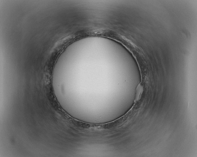X0000115251447200911131715