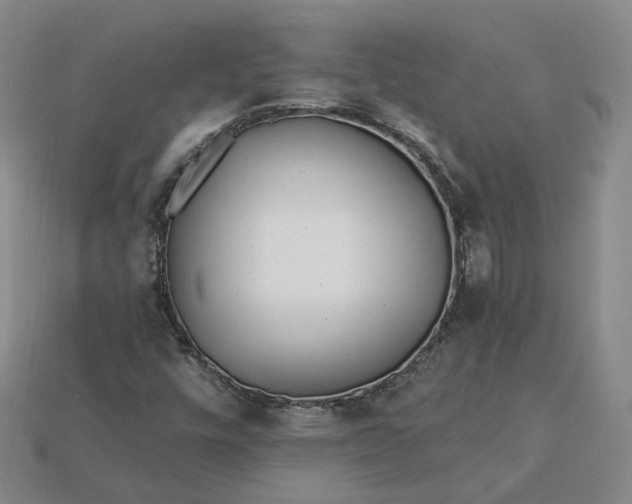 X0000115251448200911131715