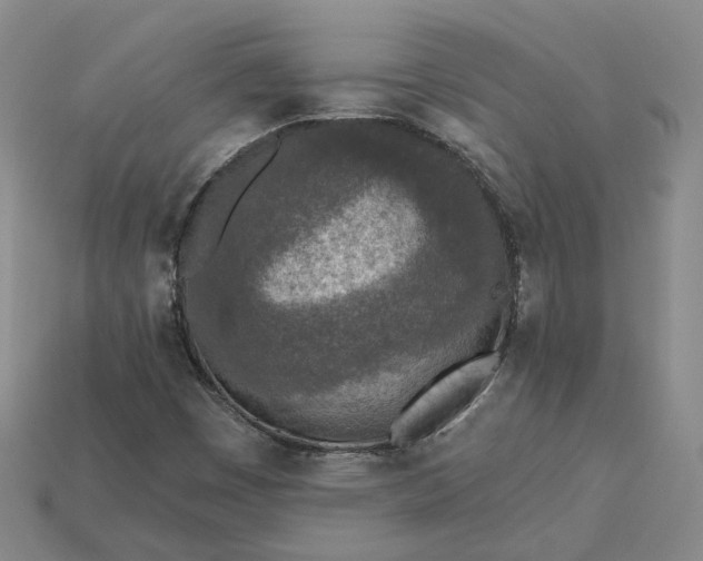 X0000115251449200911131715