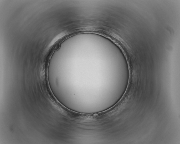 X0000115251450200911131715