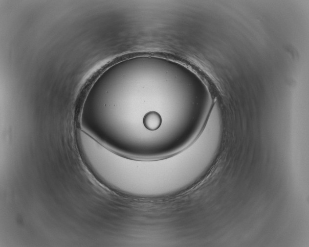 X0000115251452200911131715