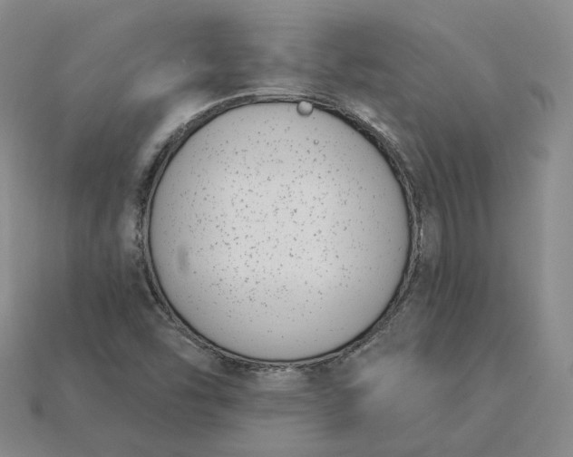 X0000115251454200911131715