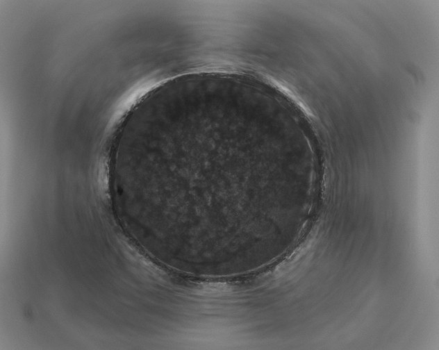 X0000115251455200911131715