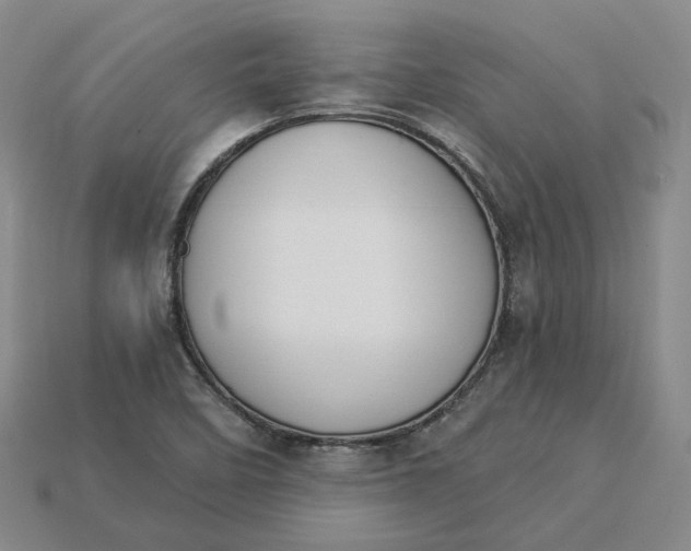 X0000115251458200911131715