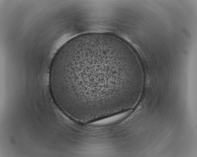 X0000115251459200911131715