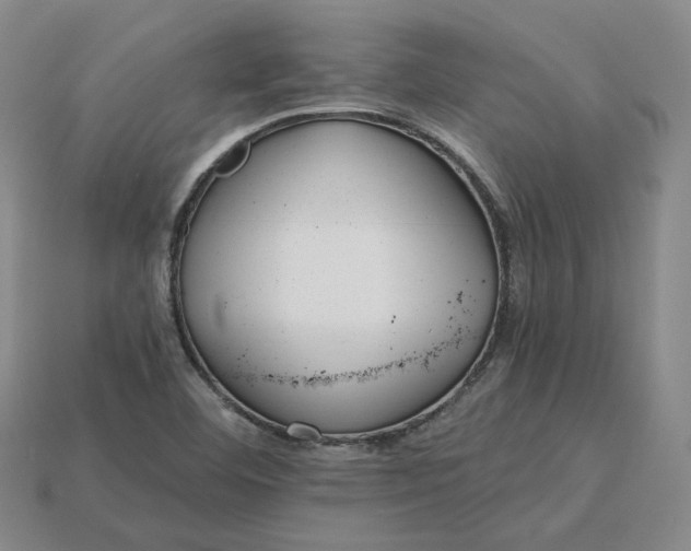 X0000115251460200911131715