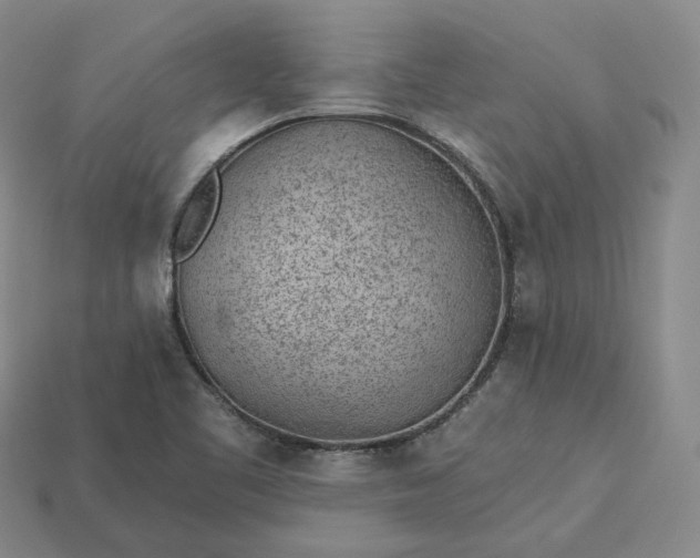 X0000115251461200911131715
