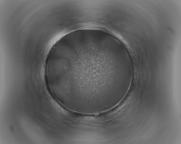 X0000115251463200911131714