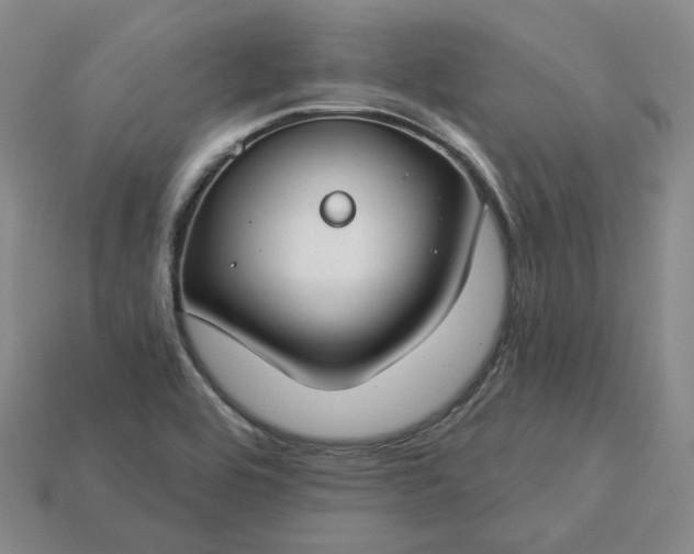 X0000115251464200911131714