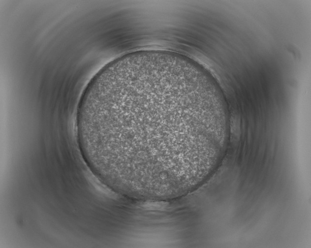 X0000115251466200911131714