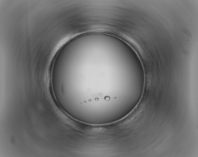 X0000115251467200911131714