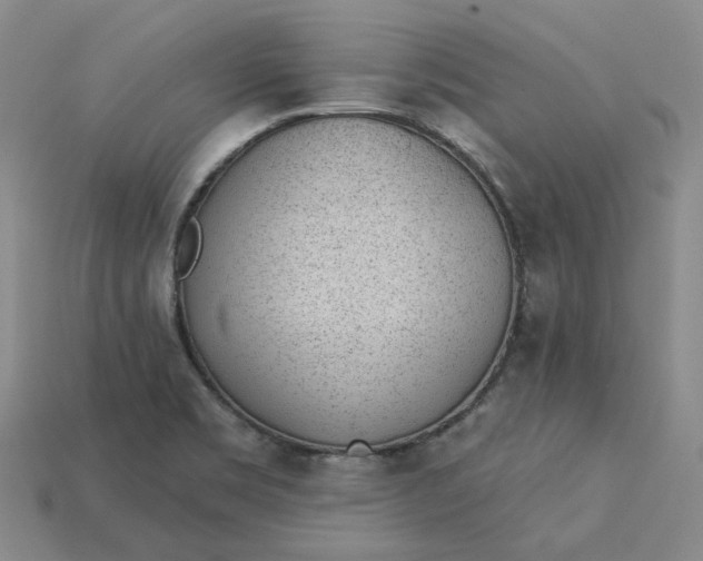 X0000115251469200911131714