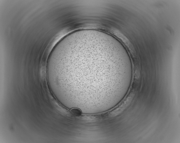 X0000115251473200911131714