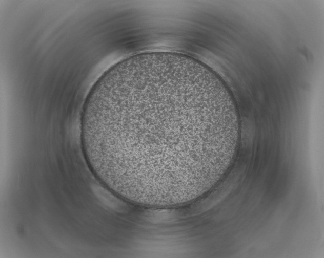 X0000115251474200911131714