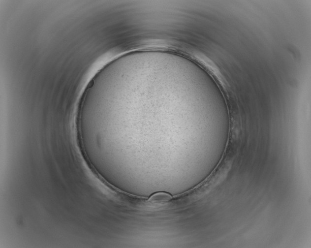 X0000115251475200911131714
