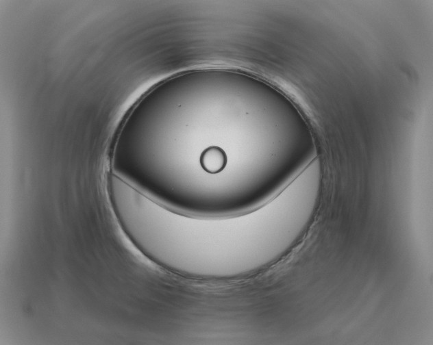 X0000115251476200911131714