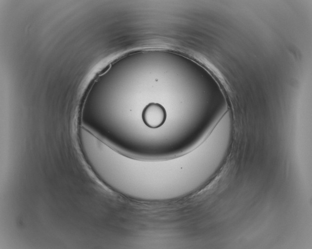 X0000115251477200911131714