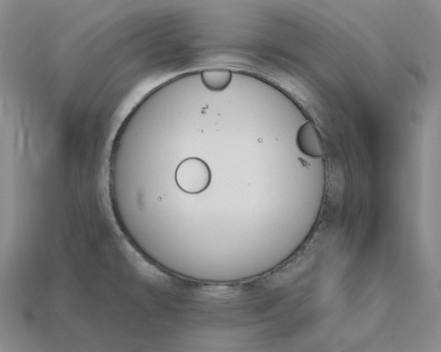 X0000115251478200911131714