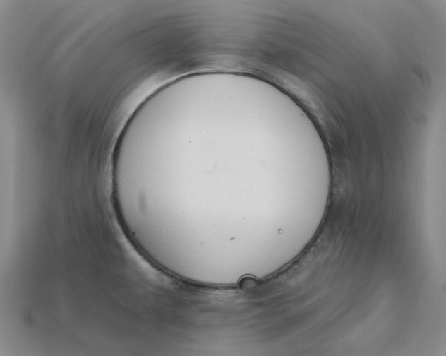 X0000115251479200911131714