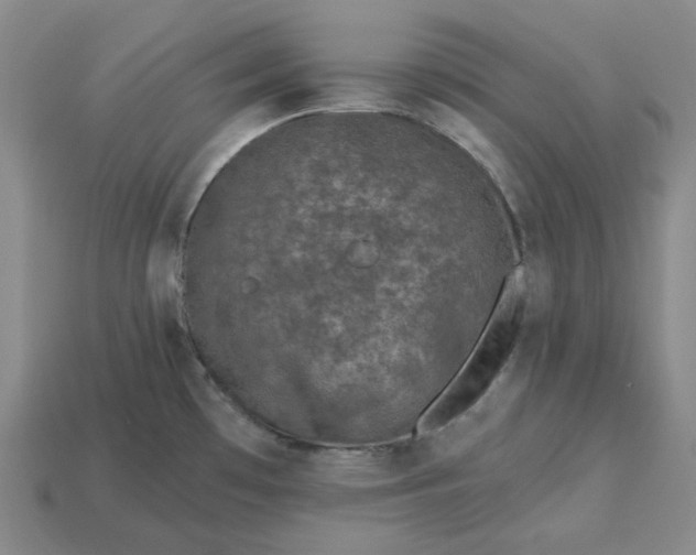 X0000115251481200911131714