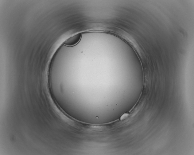 X0000115251483200911131714