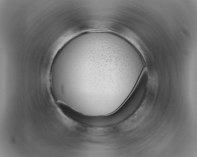 X0000115251485200911131714