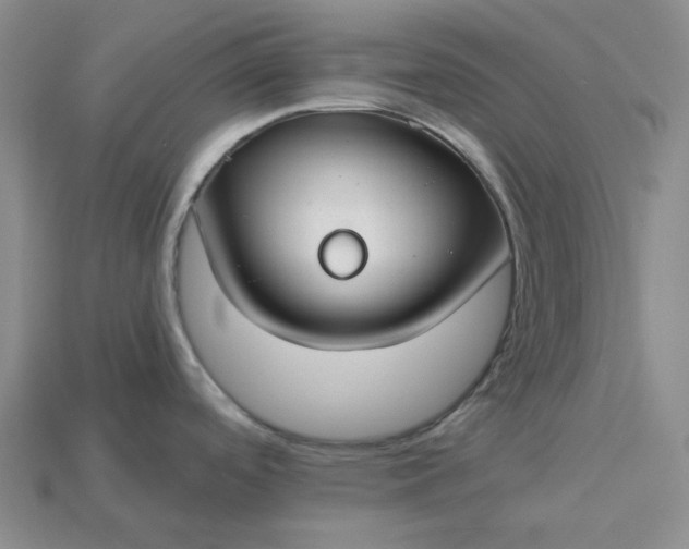 X0000115251488200911131714