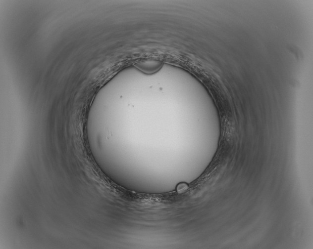 X0000115251489200911131714