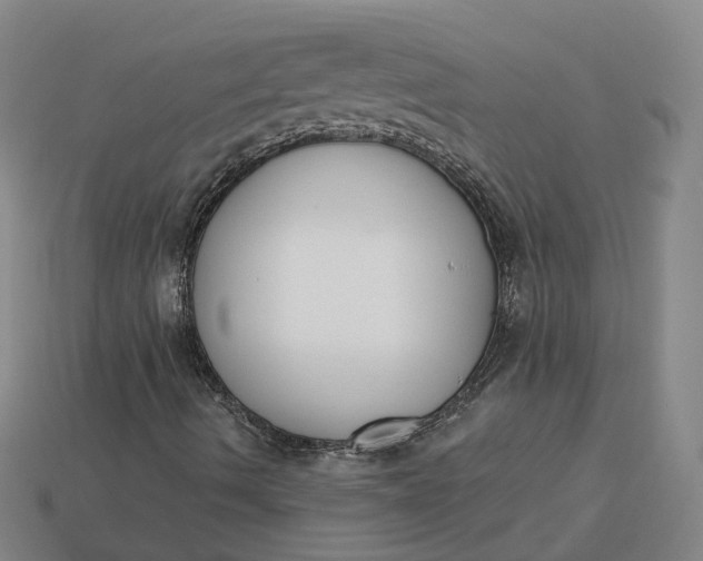 X0000115251490200911131714