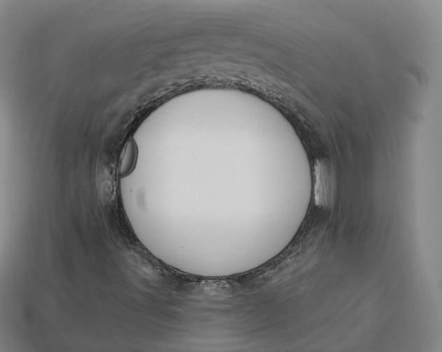 X0000115251491200911131714