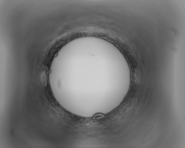 X0000115251493200911131714